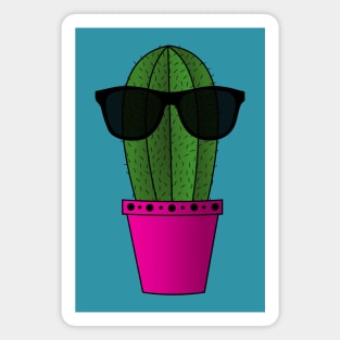 Cool Potted Cactus on Blue Magnet